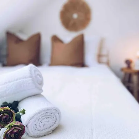 The Cozy Flat Close To The Kassel