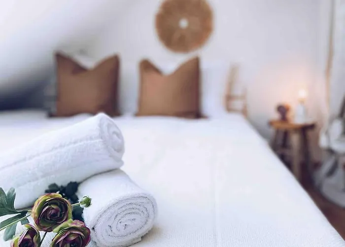 The Cozy Flat Close To The Kassel