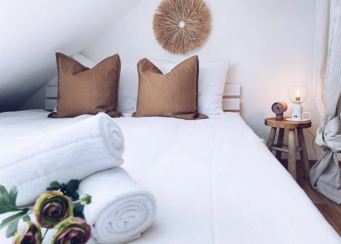 The Cozy Flat Close To The Apartment Kassel